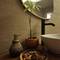 Отель Ozgur Bey Spa Hotel (Adult Only)