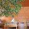 Отель Guest House Russky Dom