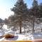 Отель Guesthouse Alpijskij