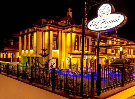Отель Elif Hanim Hotel & Spa