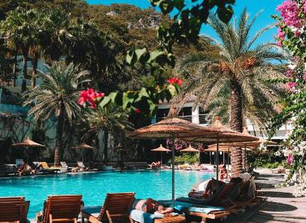 Отель Flamingo Hotel