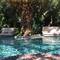 Отель Flamingo Hotel