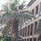 Отель Nazar Hotel, Altinkum Didim