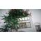 Отель Gumbet Cove Hotel