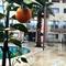 Отель Bodrum Oscar Hotel