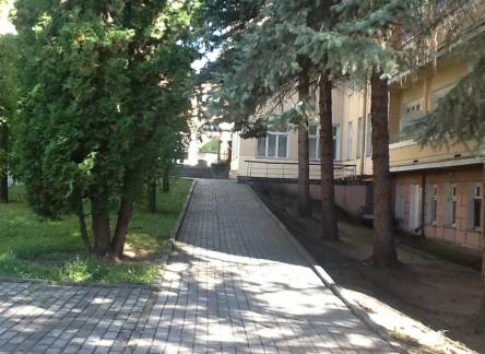Отель Родина