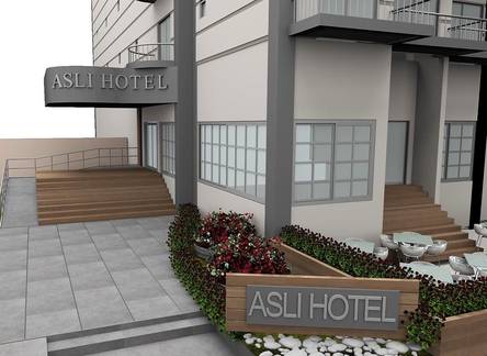 Отель Asli Hotel