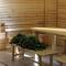 Отель Oasis Mini Hotel