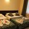 Отель Hotel Gold Stone