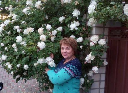 Отель Guest House Granat