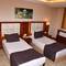 Отель Asrin Business Hotel