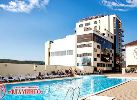 Отель Pansionat Flamingo