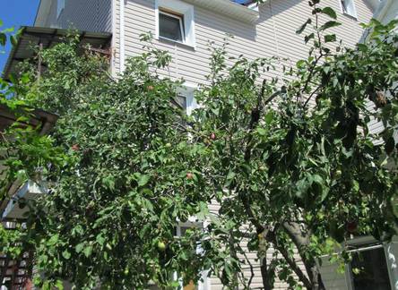 Отель Zolotoy Bereg Guest House