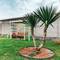 Отель Guest House Alla