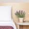 Отель Lavanda Guest house
