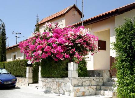 Отель Hilltop Villa