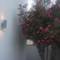 Отель Holiday Home Pissouri Limassol