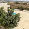 Отель Apartment Koutsolotremithis st
