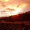 Отель Sunset Village Apartment 5