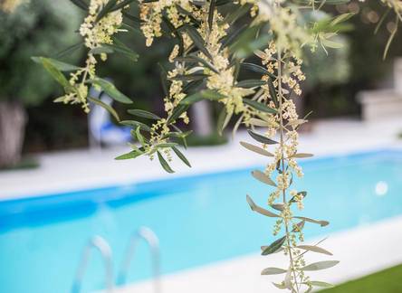 Отель Corina Suites & Apartments