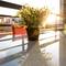 Отель Eden Beach Apartment 207