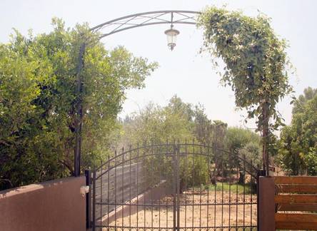 Отель Citrus Grove Apartments