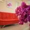 Отель Nina's House