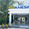 Отель Anesis Hotel