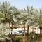 Отель Ghazala Beach Resort
