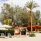 Отель Ghazala Beach Resort