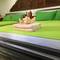Отель Taosha Suites Hotel