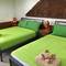 Отель Taosha Suites Hotel