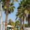 Отель Blue Sea Luxury Villa