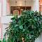 Отель Hotel Aristea