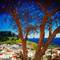 Отель Little Lindos Sea View Studios