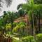 Отель Khaolak Palm Hill Resort