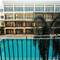 Отель Summer Tree Hotel