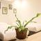 Отель Fulllax Guesthouse