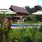 Отель Cliffside Lagoon Zipline Villa