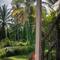 Отель The Lazy Bar And Guesthouse