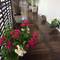 Отель My Living Place Samui