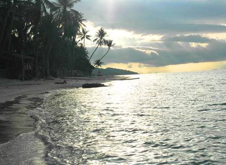 Отель Ban Tai Samui Bungalows