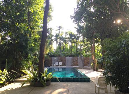Отель Fern House Retreat