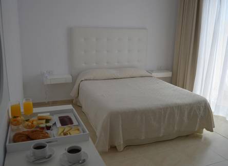 Отель Hotel Trovador