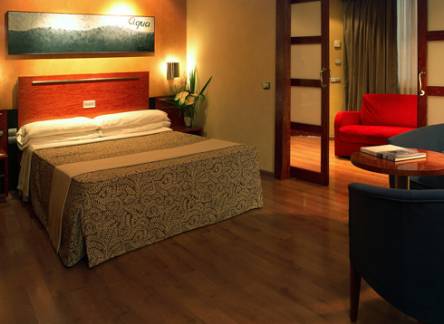 Отель Hotel Garbi Millenni