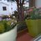Отель Estival Park Apt - Punta Prima