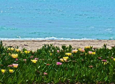 Отель Maamoura Beach House