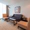 Отель Holiday Inn Dubai Al Barsha