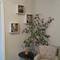 Отель Apartment Plamen Delux