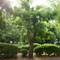 Отель Sea Garden Plaza Apartment